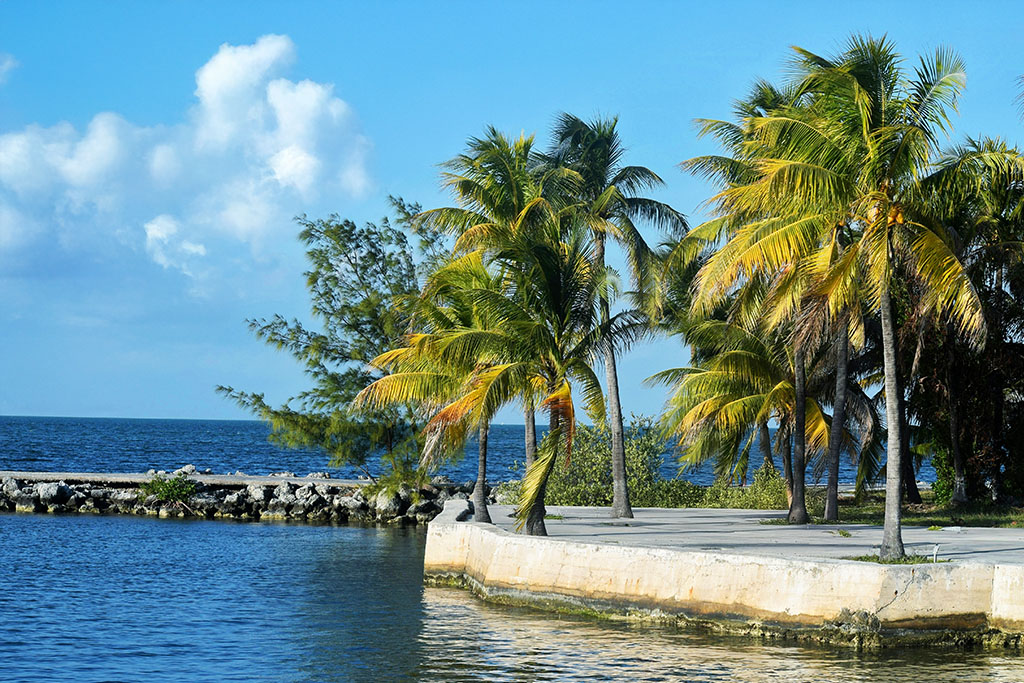 Best Florida Keys Cruise Packages Available