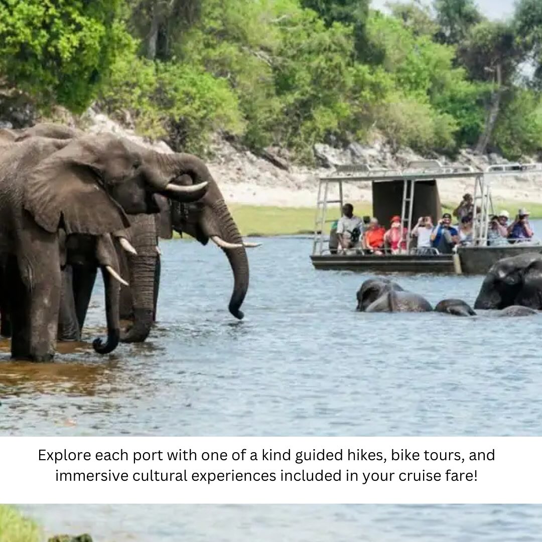 amawaterways-river-tours-wildlife